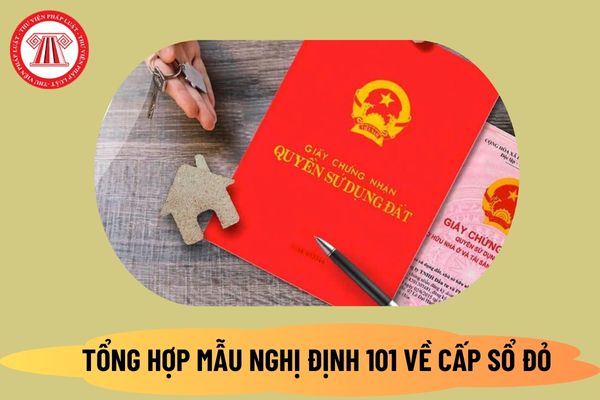 Tổng hợp mẫu đăng ký đất đai theo Nghị định 101 về cấp sổ đỏ? Tải tổng hợp mẫu Nghị định 101 2024 ở đâu?