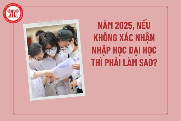 Năm 2025, Nếu không xác nhận nhập học đại học thì phải làm sao? Ngày mấy nhập học đại học 2025?