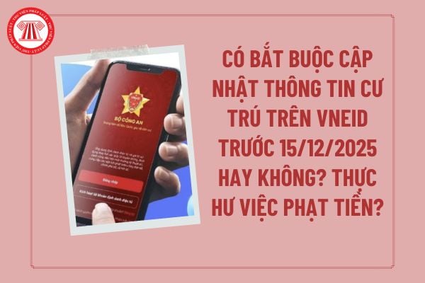 Pháp luật
