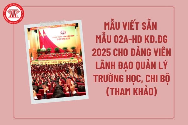 Pháp luật