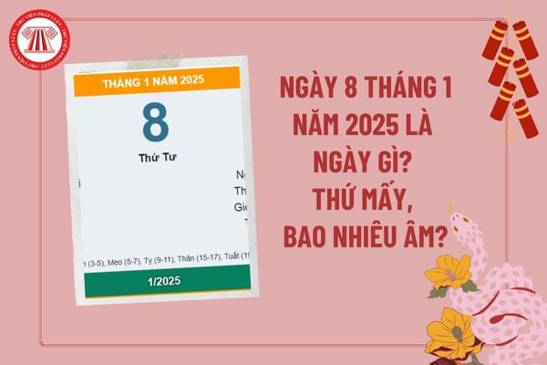 Ngày 8 1 là ngày gì? Ngày 8 1 2025 dương là bao nhiêu âm? Ngày 8 tháng 1 năm 2025 là thứ mấy?