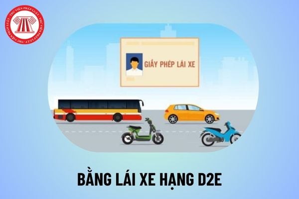 Chính thức có bằng lái xe hạng D2E từ 1 1 2025? Bằng lái xe hạng D2E lái được xe gì? Thời hạn bằng lái xe hạng D2E mấy năm?