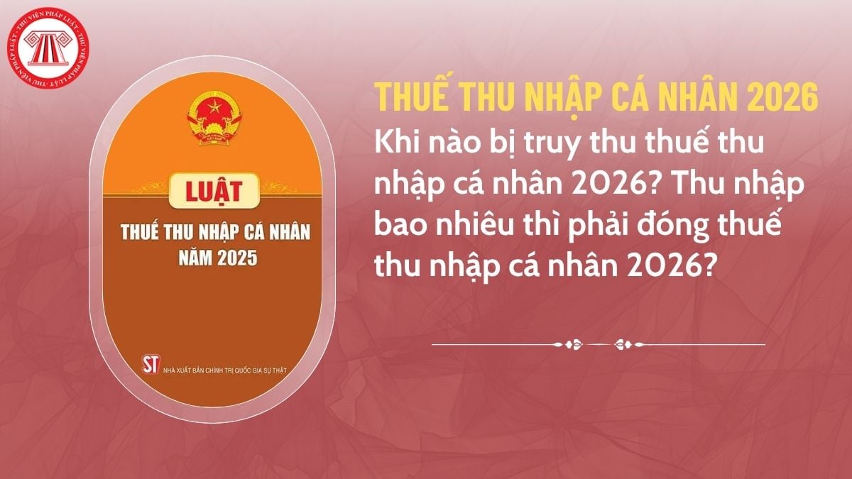 Pháp luật