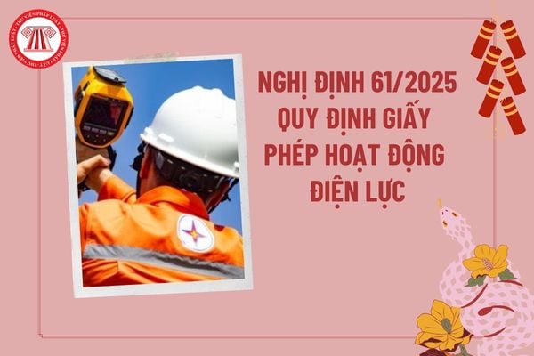 Nghị định 61/2025/NĐ-CP về giấy phép hoạt động điện lực? Nghị định 61/2025/NĐ-CP quy định một số điều Luật Điện lực?