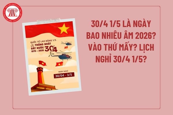Pháp luật