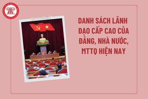 Pháp luật