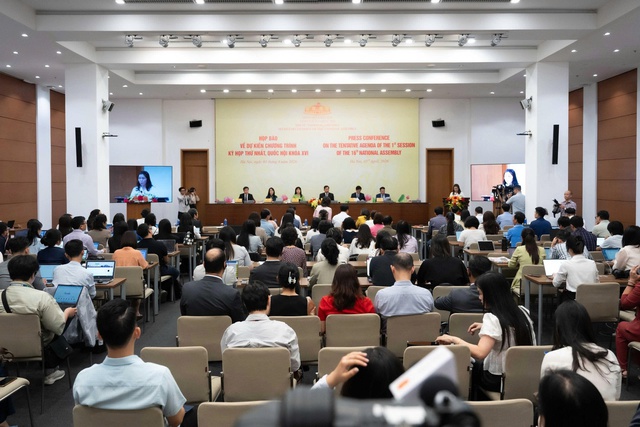 Pháp luật