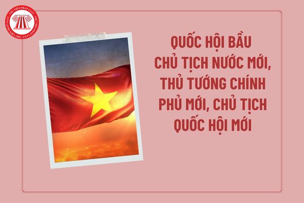 Pháp luật