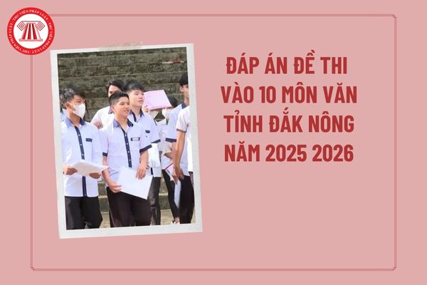 Pháp luật