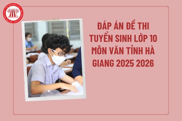 Pháp luật