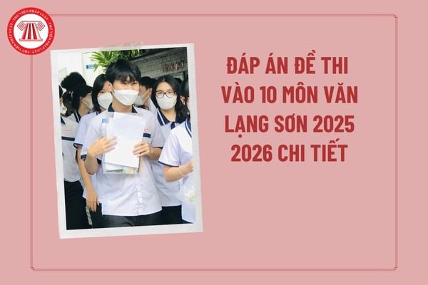 Pháp luật