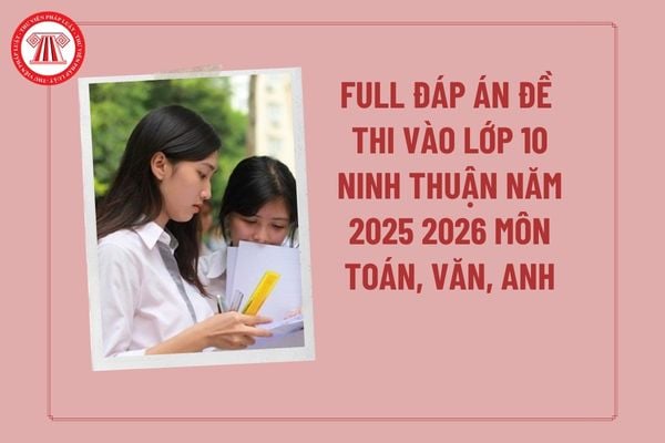 Pháp luật