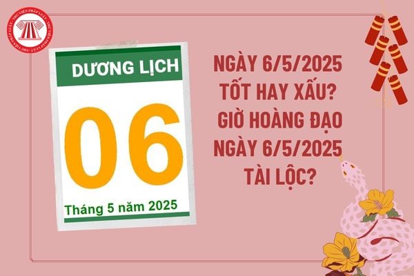 Pháp luật