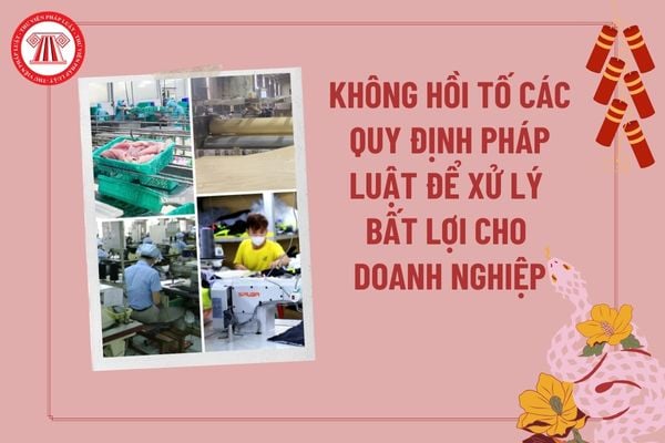 Pháp luật