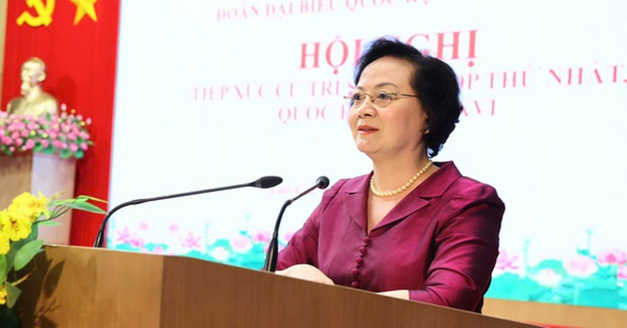 Pháp luật