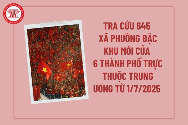 Pháp luật
