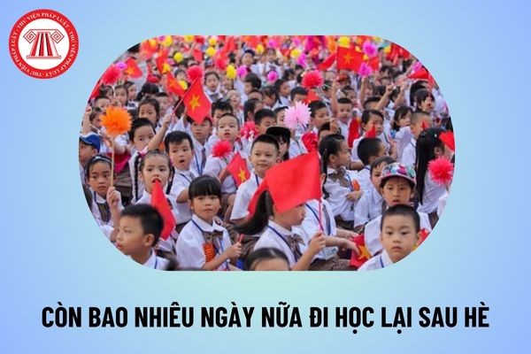 Còn bao nhiêu ngày nữa học sinh đi học lại sau nghỉ hè 2024? Còn bao nhiêu ngày nữa học sinh đi học lại 2024 2025?