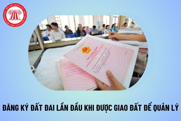 Quy định mới về thủ tục đăng ký đất đai lần đầu đối với trường hợp được giao đất để quản lý theo Nghị định 101 thế nào?