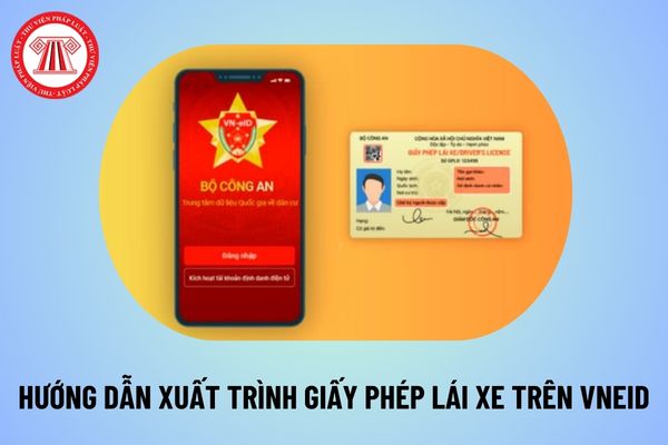 Hướng dẫn xuất trình giấy phép lái xe trên VNeID 2024 nhanh chóng nhất? Xuất trình bằng lái xe trên VNeID năm 2024 thế nào? 