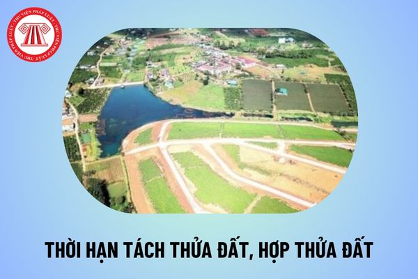 Chính thức có thời hạn tách thửa đất, hợp thửa đất từ 1 8 2024 theo Nghị định 101 về cấp sổ đỏ thế nào?