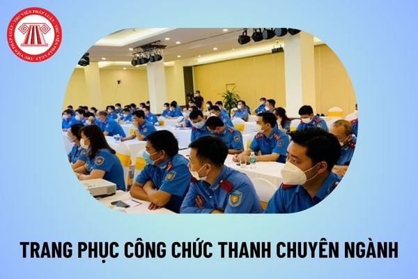 Tiêu chuẩn và niên hạn cấp phát trang phục cho công chức thanh tra chuyên ngành theo Thông tư 29 2024 TT BGTVT thế nào? 