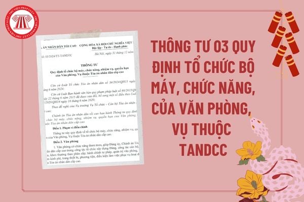 Thông tư 03 về tổ chức bộ máy, chức năng, nhiệm vụ, quyền hạn của Văn phòng, Vụ thuộc Tòa án nhân dân cấp cao 2025 ra sao?