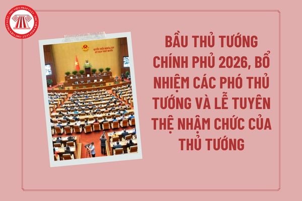 Pháp luật