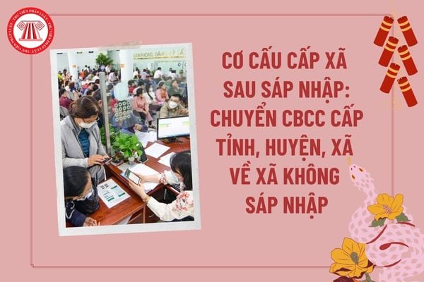 Pháp luật