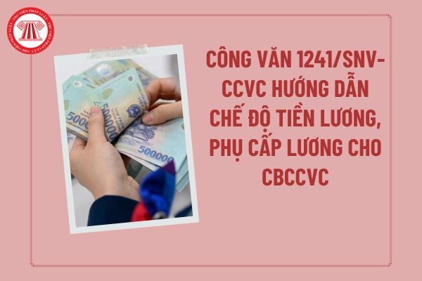 Pháp luật