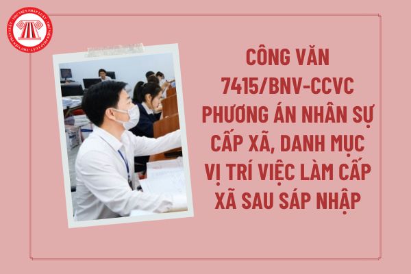 Pháp luật