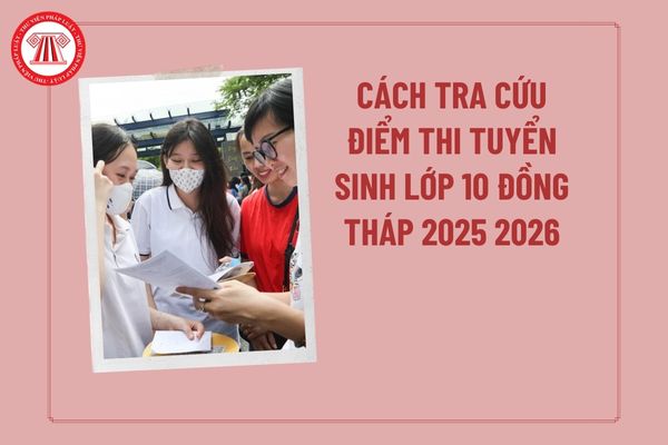 Pháp luật