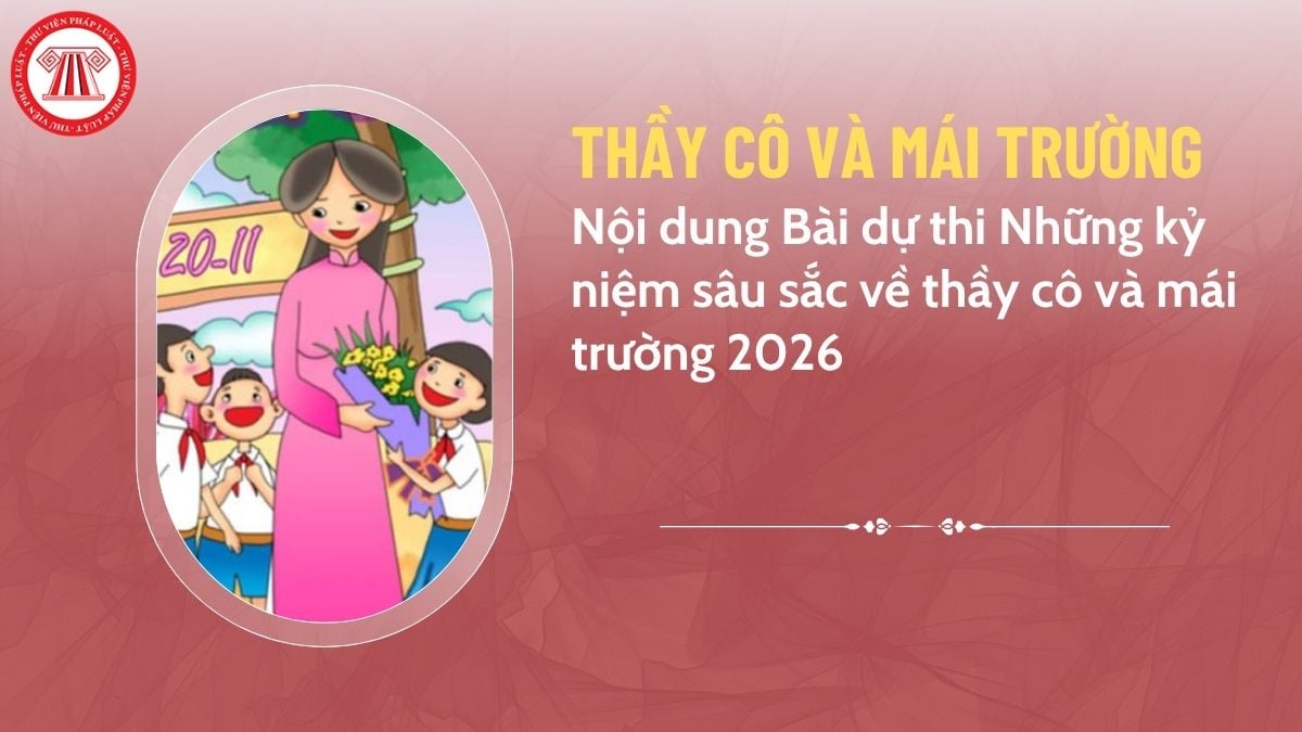 Pháp luật