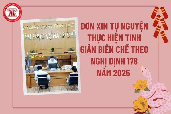 Đơn xin tự nguyện thực hiện tinh giản biên chế theo Nghị định 178/2024/NĐ-CP năm 2025? Nghị định 178 2024 về tinh giản biên chế?