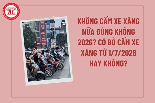 Pháp luật