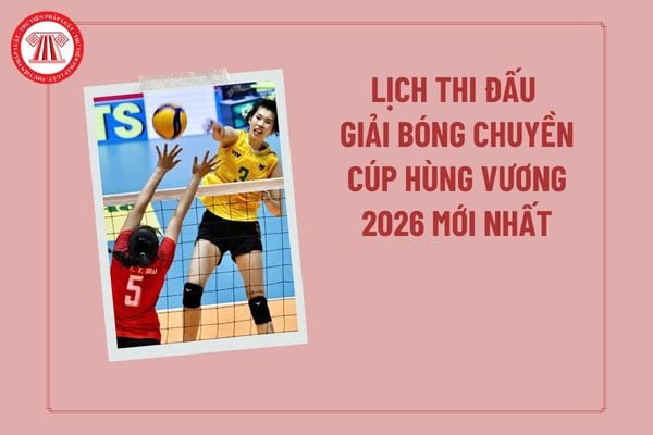 Pháp luật