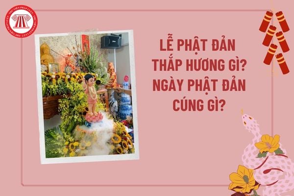 Pháp luật