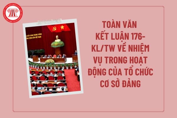 Pháp luật