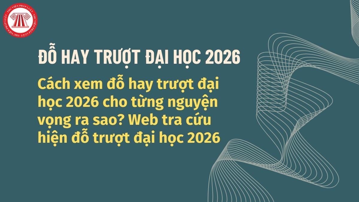 Pháp luật