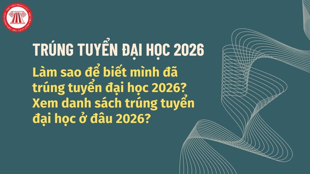 Pháp luật