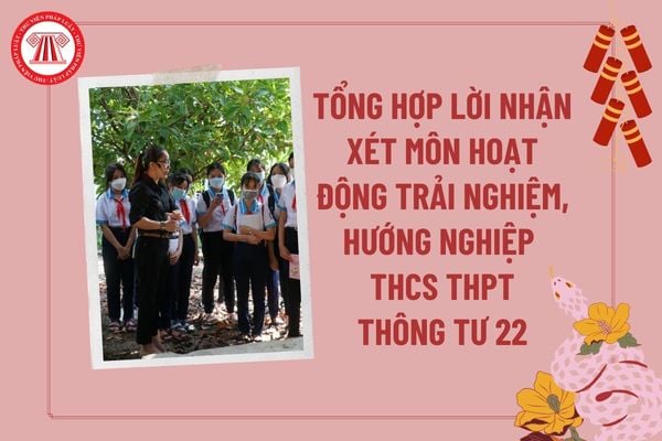 Lời nhận xét môn trải nghiệm hướng nghiệp THCS THPT theo Thông tư 22 cuối kì 1? Nhận xét môn hoạt động trải nghiệm THPT?