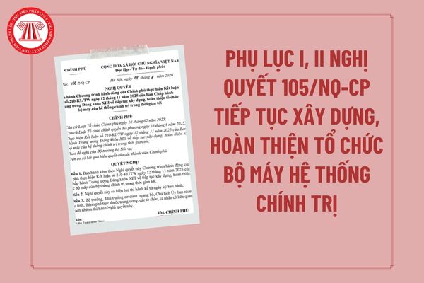 Pháp luật