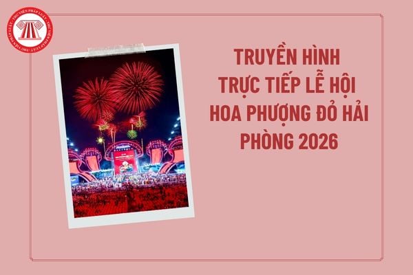 Pháp luật