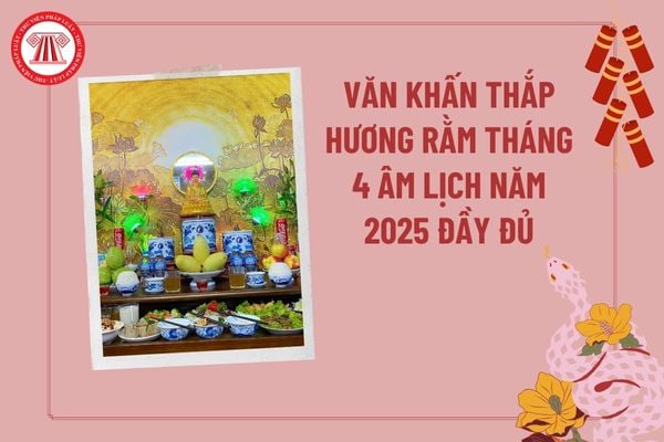 Pháp luật