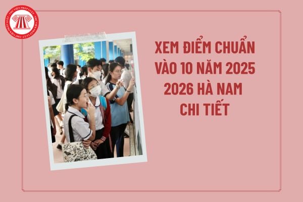 Pháp luật
