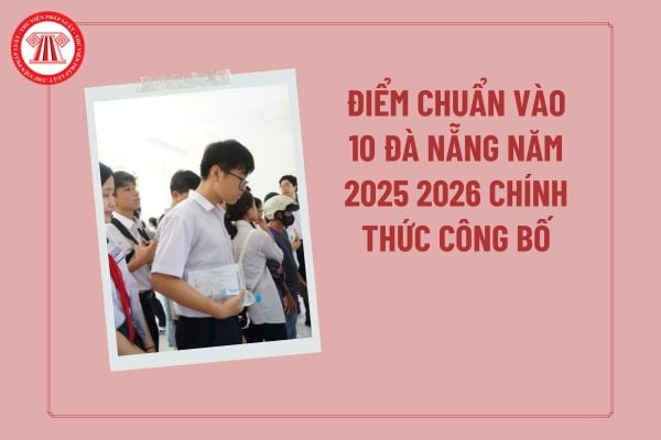 Pháp luật