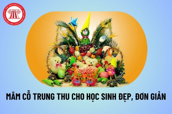 Pháp luật