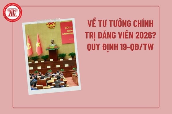 Pháp luật