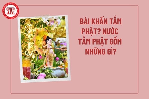 Pháp luật