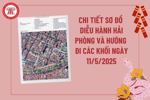 Pháp luật