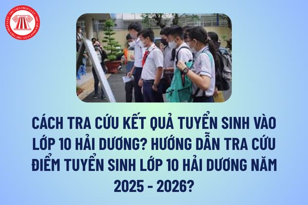 Pháp luật